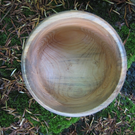 Stamm Schale / tiefes Gefäß / Übertopf / Holzschale
