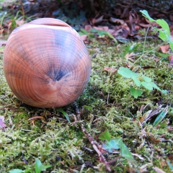 geölte Holzschale aus Kiefer gedrechselt