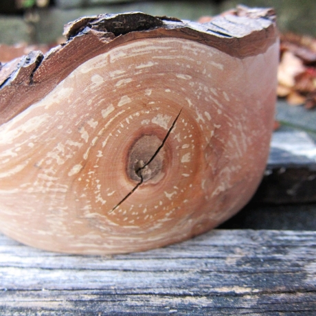 rustikale Holzschale aus Apfelholz mit Rindenrand naturbelassen