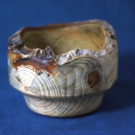 Glänzende Holzschale mit rustikalem Rinden-Rand