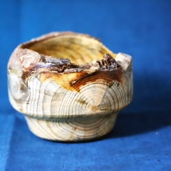 Glänzende Holzschale mit rustikalem Rinden-Rand