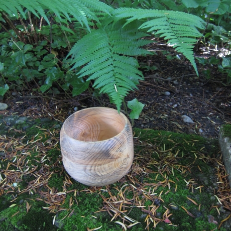 Stamm Schale / tiefes Gefäß / Übertopf / Holzschale