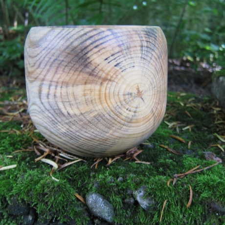 Stamm Schale / tiefes Gefäß / Übertopf / Holzschale