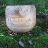 Stamm Schale / tiefes Gefäß / Übertopf / Holzschale