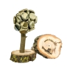 Der Deckelbaum -naturbelassen- Magnet für Kronkorken - Sammeln