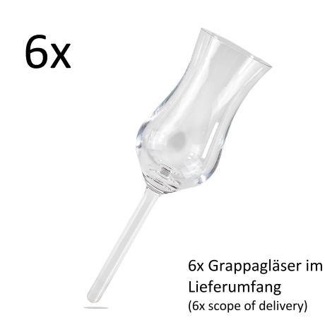 6x Grappaglas ohne Fuß