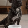 Personalisierter Haustiernapf - individuell - Name - Hund -  Katze - Foto - Wunschtext - Tier - Schale - Pfoten - Futternapf - Motiv