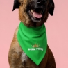 personalisiertes Halstuch für Hunde mit Motiv, Hundename