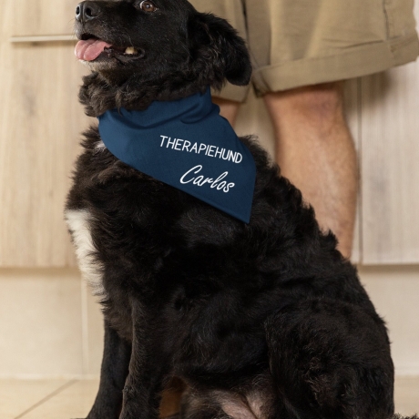 personalisiertes Halstuch für Hunde, Hundename, Therapiehund