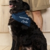personalisiertes Halstuch für Hunde, Hundename, Therapiehund