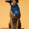 personalisiertes Halstuch für Hunde, Hundename, Silhouette, Hundemensch, Halstuch, Hundehalstuch, Halstuch mit Namen, Geschenkidee, Rasse