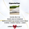 Personalisierte Fußmatte mit Namen – „Hier leben & lieben…“ 