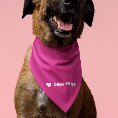 personalisiertes Halstuch für Hunde mit Motiv, Hundename