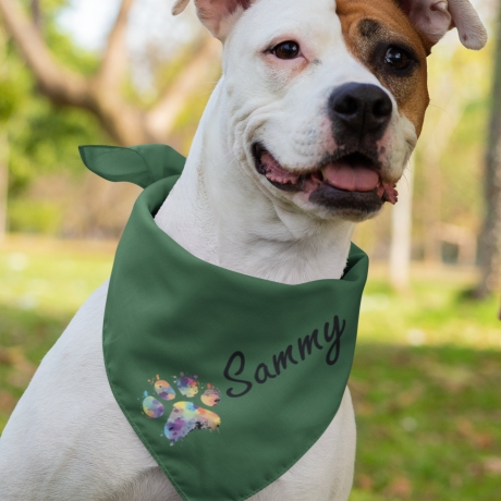 personalisiertes Halstuch für Hunde, Hundename, Therapiehund