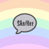 Pronomen Aufnäher, Regenbogen, queer merch, Flaggen Aufnäher,Parade Zubehör