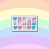 Trans Pride Patch: Gestickte LGBTQ+ Aufnäher (8 cm)