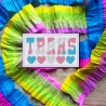 Trans Pride Patch: Gestickte LGBTQ+ Aufnäher (8 cm)