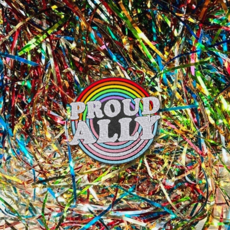 Proud Ally Rainbow Trans Pride Aufnäher: LGBTQ+ Support Merch