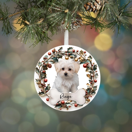 Personalisierter Schmuck für Hundeliebhaber - Weihnachten Haustier Erinnerungsgeschenk