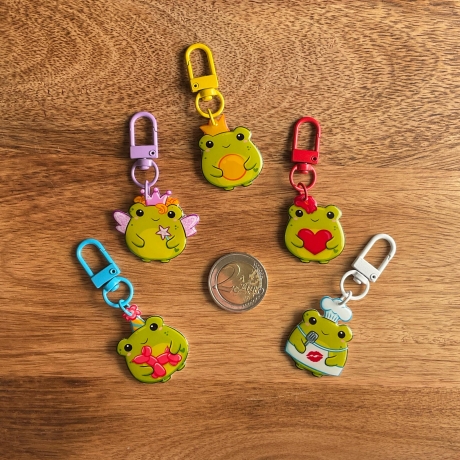 Frosch Schlüsselanhänger in Überraschungsbox
