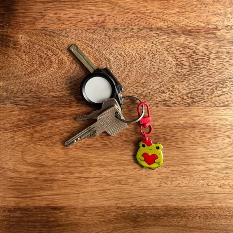 Frosch Schlüsselanhänger in Überraschungsbox