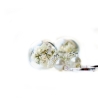 Ohrringe Weiße Blüten Glaskugel / Blütenohrringe Moos