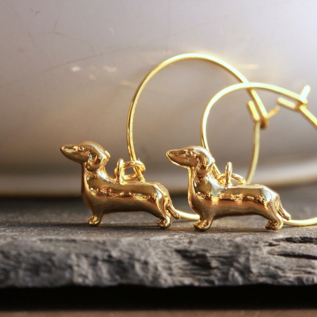 Creolen Dackel Hund Gold als außergewöhnlicher Dachshund