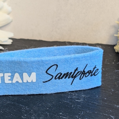 Filz Begleiter Tiere | Teamname | Farbe wählbar