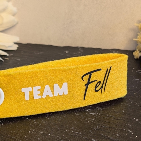 Filz Begleiter Tiere | Teamname | Farbe wählbar