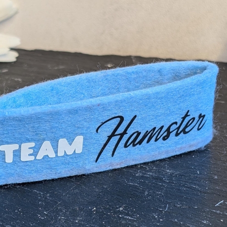 Filz Begleiter Tiere | Teamname | Farbe wählbar