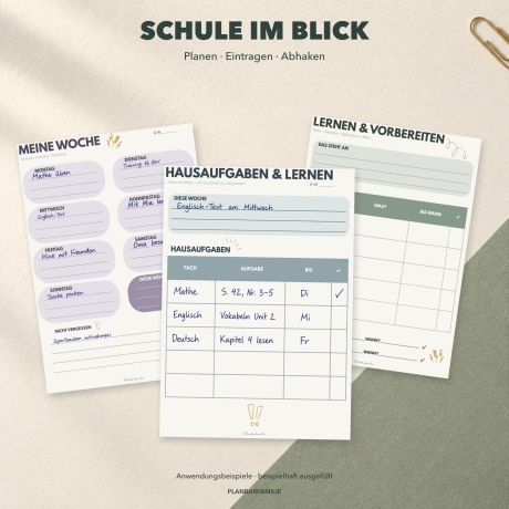 Schulplaner für Jugendliche | 4 Farben | DIN A5 PDF