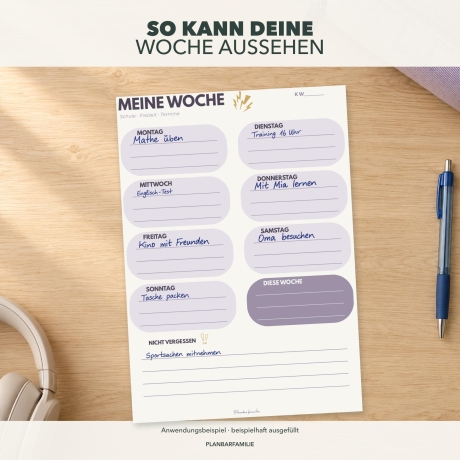 Schulplaner für Jugendliche | 4 Farben | DIN A5 PDF
