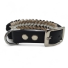 Hundehalsband aus Paracord von 27 bis 30 cm