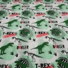 Stoff Baumwolle French Terry Dinos Dinosaurier grün grau schwarz