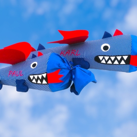Schultüte und Geschwistertüte Drache mit Kissen und Name bestickt