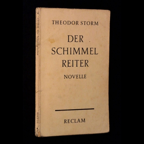 Theodor Storm - Der Schimmelreiter. - Buch