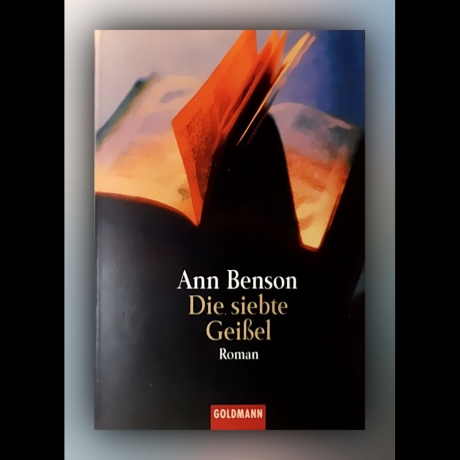 Ann Benson - Die siebte Geißel - Buch