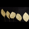 Bastel Strohhalme und 5 Kunst-Blätter