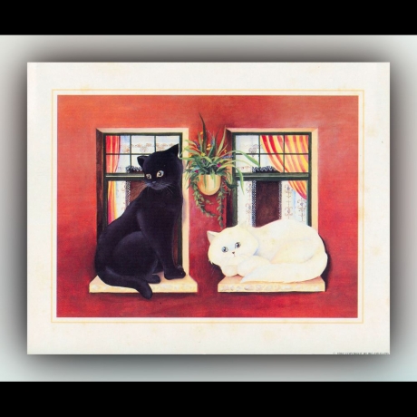 Schwarze und weiße Katze auf Fensterbank - Grafik