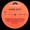 Karel Gott - Triumph Der Goldenen Stimme - Vinyl