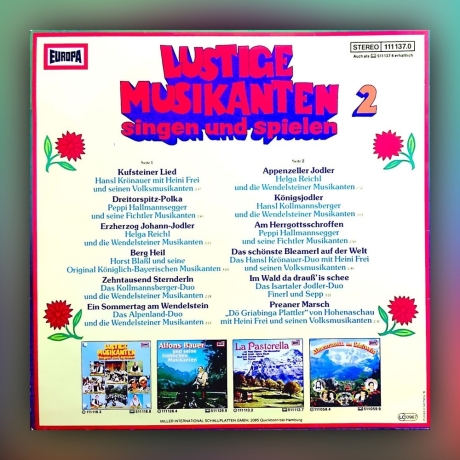 Various Artists - Lustige Musikanten singen und spielen 2 - Vinyl