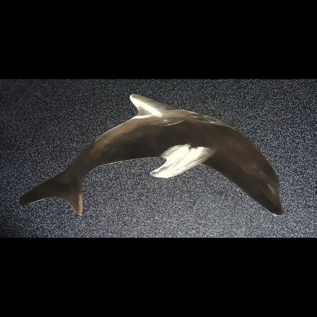 Edelstahl Delfin 28 x 17 cm