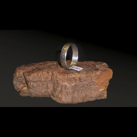 Edelstahl Ring Ø 25,5 x 6 mm