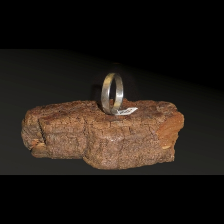 Edelstahl Ring Ø 23 x 5 mm