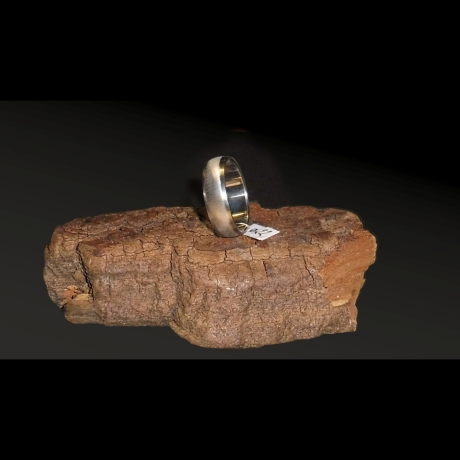 Edelstahl Ring Ø 22 x 7 mm