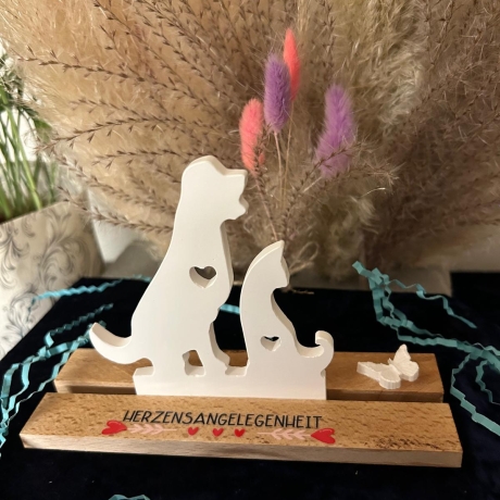 Hund, Katze, Liebe, Pfoten, Tierliebe