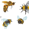 Insekten - Kein digitales Produkt auf meinem Produkt gestickt