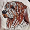Golden Retriever - 13.77 x 13.60 cm