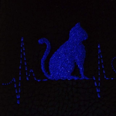 Katze mit Wunschname  Impfpasshülle Aufbewahrung  Kunstleder