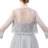 Festliches Bolero-Spitzen-Seiden-Jäckchen, , 36-38, grau